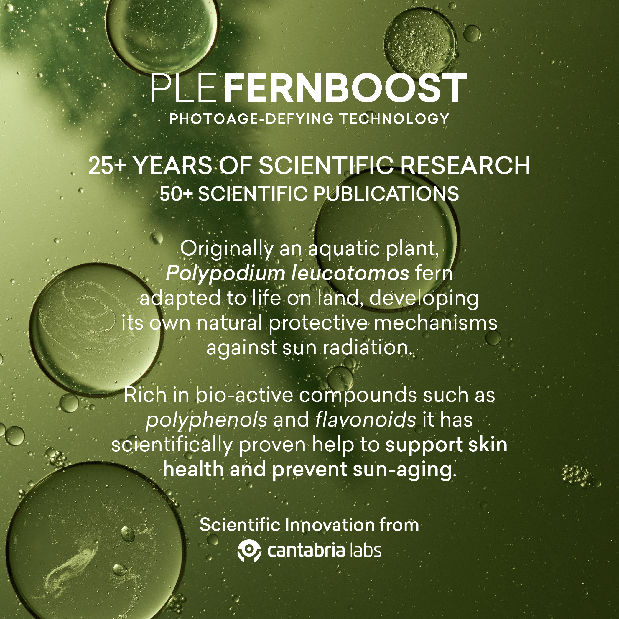 Total Perfecting Set